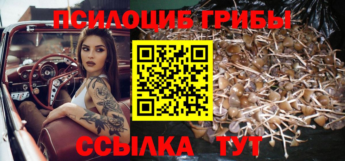 Галлюциногенные грибы мицелий Волгоград